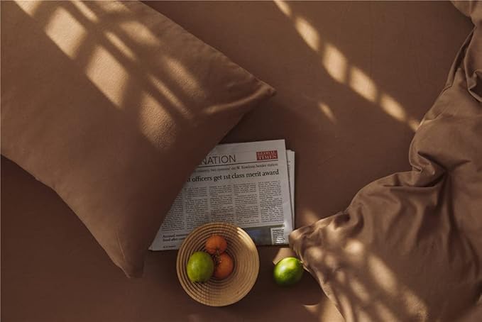 Omelas Brown Duvet Cover Twin Size Chocolate Mocha Coffee Solid Color Plain Bedding Set Simple Modern Soft Lightweight Microfiber Comforter Covers with Zipper Closure for Kids Teens Girls Children,