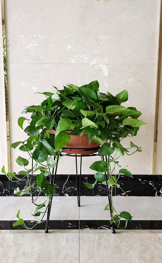 Midcentury Modern Metal Potted Plant Stand 18.7 inches Tall Flower Pot Holder Large Rustproof Iron Garden Container Heavy Duty Rack for Planter,Black (18.7 inches Tall Black)