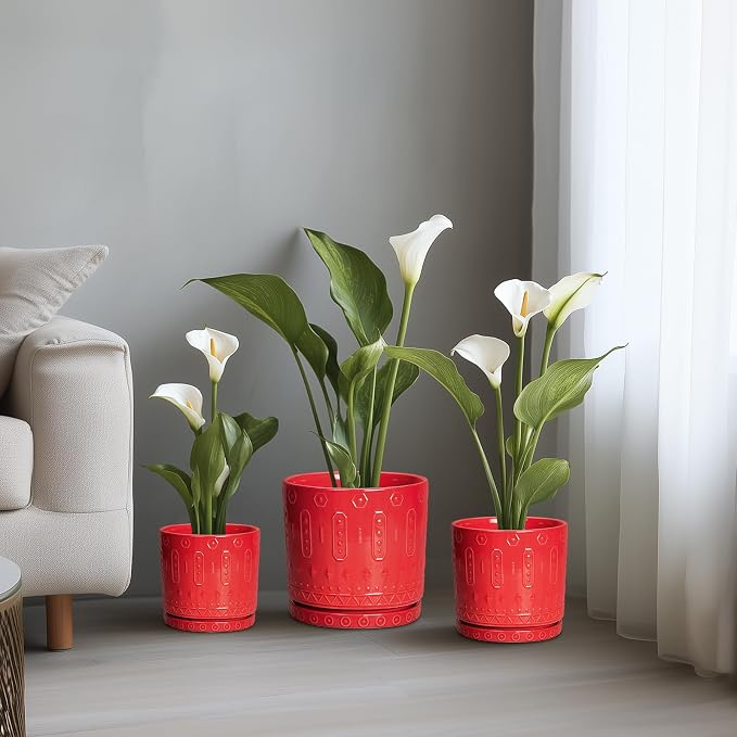 Eightpot Ceramic Plant Pots, 8 Inch Plant Pots Indoor Outdoor, Round Flower Pot with Drainage Hole and Sacuer, Boho Pot for Plants, Decorative Planter, Home Room Bathroom Decor, Garden Gifts, Red