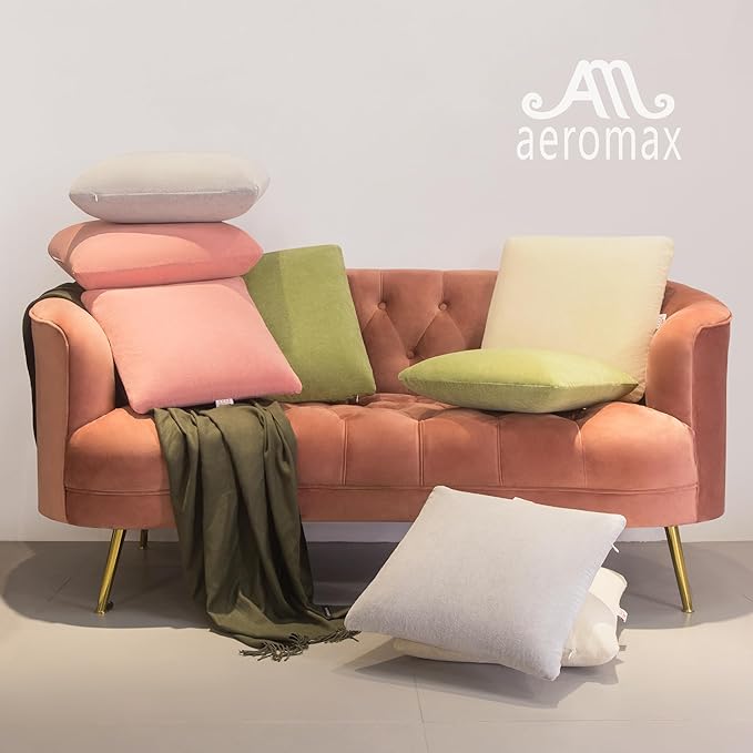 AM AEROMAX 20 ×20 Pillow Insert (Pack of 2) Memory Foam Throw Pillow Insert Sham Square for Decorative Cushion Bed Couch Sofa Without Deform After Longtime Use