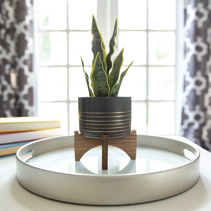 Flora Bunda Mid Century 4.75 inch Ceramic Planter on Wood Stand Great for Succulent Desktop Black/Gold Line