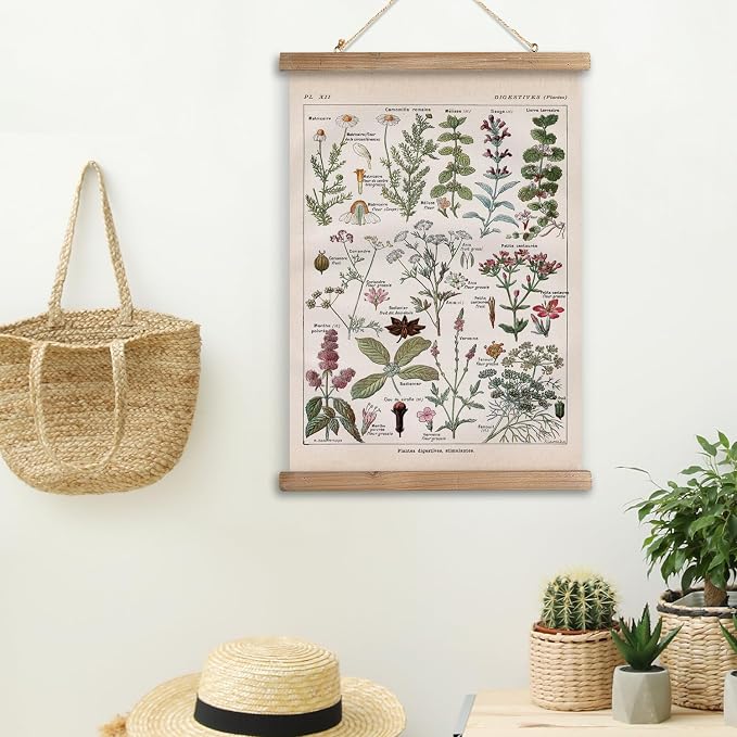XIAOAIKA Vintage Botanical Herbs Illustration Poster - Retro Medicinal Plant Chart with Wooden Frame - Educational Herbal Reference for Home, Kitchen, or Classroom Decor 12 x 16 Inches