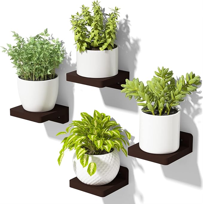 SRIWATANA Small Floating Shelves Wall Mounted, Wood Shelf for Decoration and Storage Set of 4, Mini Display Shelf for Bedroom, Bathroom, Kitchen, Office (Walnut, 4 inch)