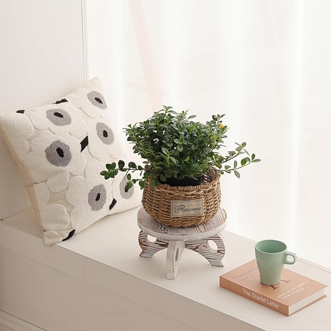 White Wooden Plant Stands Indoor Riser Round Display Stands Farmhouse Display Stool Flower Holder Pedestal Board Pine