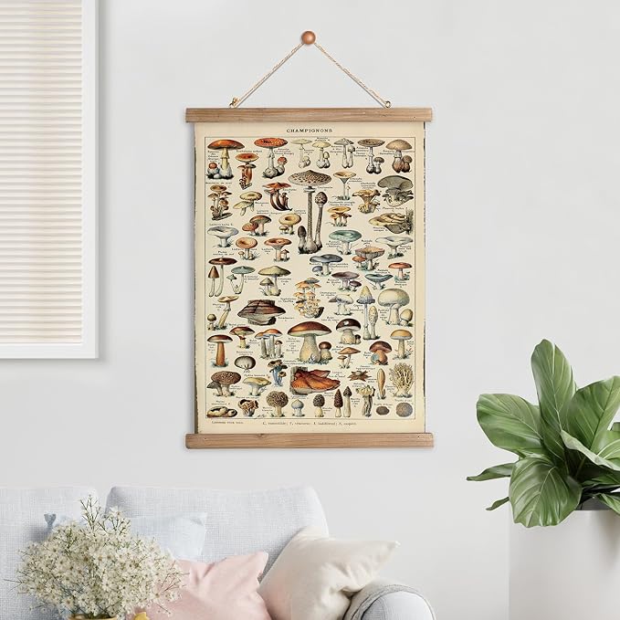XIAOAIKA Vintage Mushroom Poster with Wooden Scroll Frame - Classic Botanical Print with Variety of Fungi Species - Retro Style Wall Art Decor for Kitchen, Living Room, Classroom 16 x 23 Inches