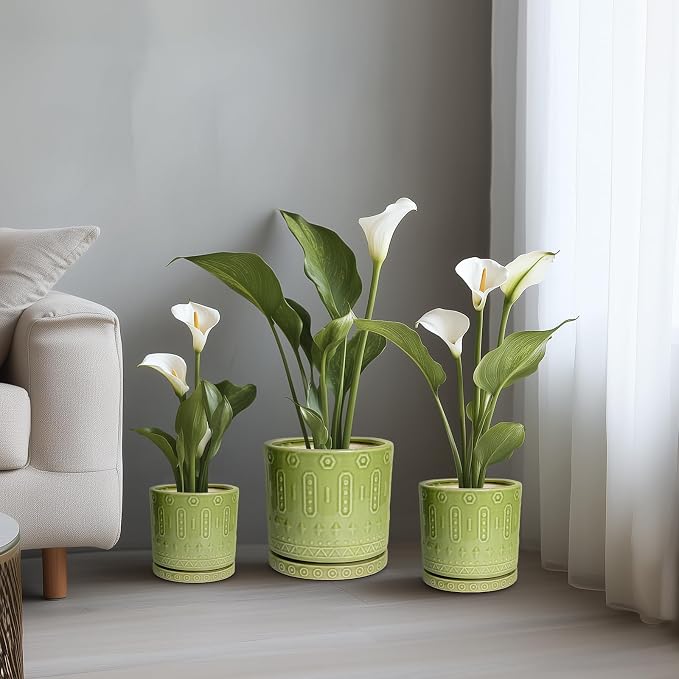 Eightpot Ceramic Pots for Plants, 8 Inch Plant Pot with Drainage Hole and Tray, Round Planters for Indoor Plants, Modern Flower Pot, Decorative Planter, Living Room Decor, Gardening Gifts, Green