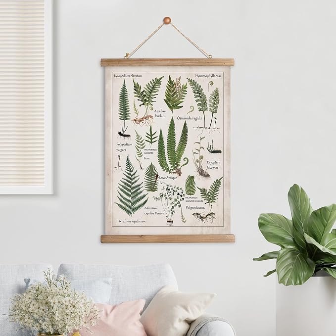 XIAOAIKA Botanical Fern Varieties Poster - Vintage Illustrated Guide with Wooden Frame - Educational Plant Wall Art for Home, Office, or Classroom Decor 16 x 23 Inches