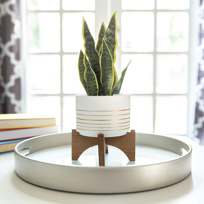 Flora Bunda Mid Century Ceramic Planter on Wood Stand 4.75 inch White with Gold Line for Succulent Desktop Indoor Use 5.5 x 5.5 x 5.75
