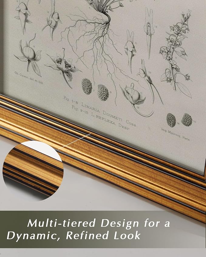 HUARCEY Gold Framed Vintage Wall Art for Living Room, Flowers Painting Prints Shelf Decor for Kitchen, Aesthetic Bedroom Wall Art, Best Gifts for Friends or Family - Veronica biloba 16L x 12W