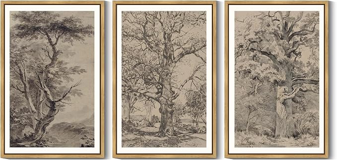 KUVIOKE Vintage Tree Framed Wall Art Retro Antique Forest Drawings Nature Wilderness Sketch Wall Painting Modern Decor 24x36in (Natural Framed)
