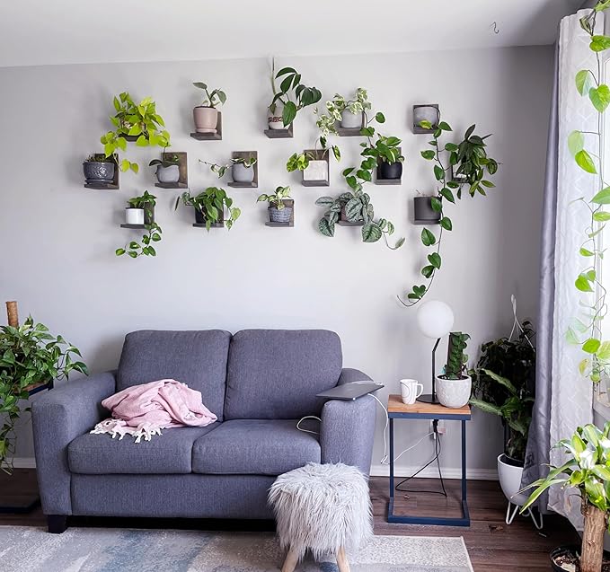 Daniel's Plants 3-Pack Mid-Century Modern L-Shaped Floating Shelves | Solid Wood Plant Wall Shelf Kit | Dusk Grey