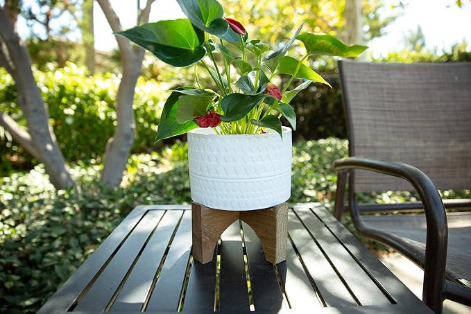 Flora Bunda 7 Inch Pharaoh Ceramic Planter on Stand Mid Century,7" Matte White