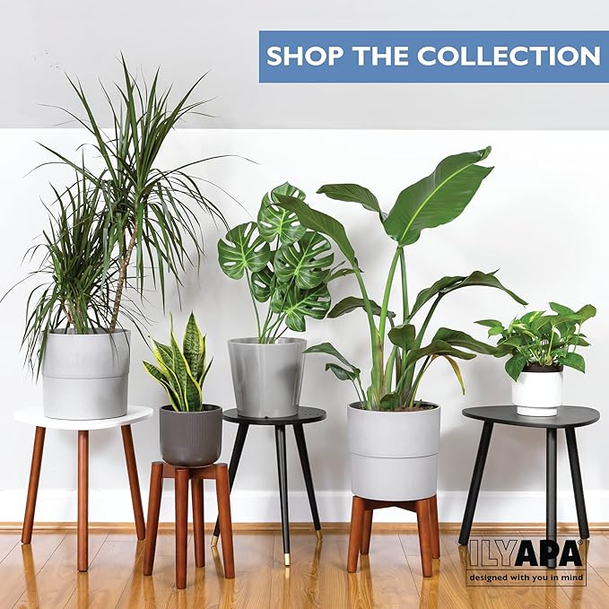Ilyapa Indoor Plant Stand - Mid Century Modern Floor Planter Stand, 12 Inch Tall, 9.5 Inch Wide Walnut Stain Pot Riser - Plants Display Rack