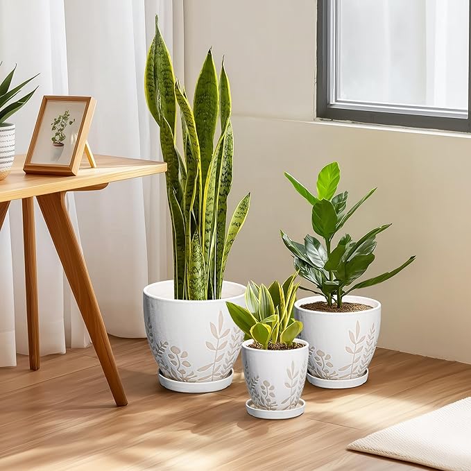 8 Inch Plant Pot with Saucer - Ceramic Planter with Drainage for Indoor Plants, Boho Round Flower Pot, Desk Room Home Office Decor, Housewarming Gift, White
