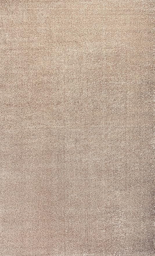 JONATHAN Y Haze Solid Low-Pile Beige Indoor Area Rug 3x5, Coastal,Bohemian,Minimalist,Classic, Easy-Cleaning for Living Room,Bedroom,Kitchen,Pet Friendly,Non-Shedding (SEU100G-3)