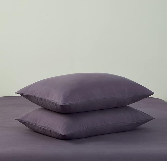 Omelas Grayish Purple Duvet Cover Set Queen Size Modern Minimalist Style Solid Colored Bedding Sets 3 Pieces Soft Microfiber Quilt Covers with Zipper Closure Corner Ties,No Comforter