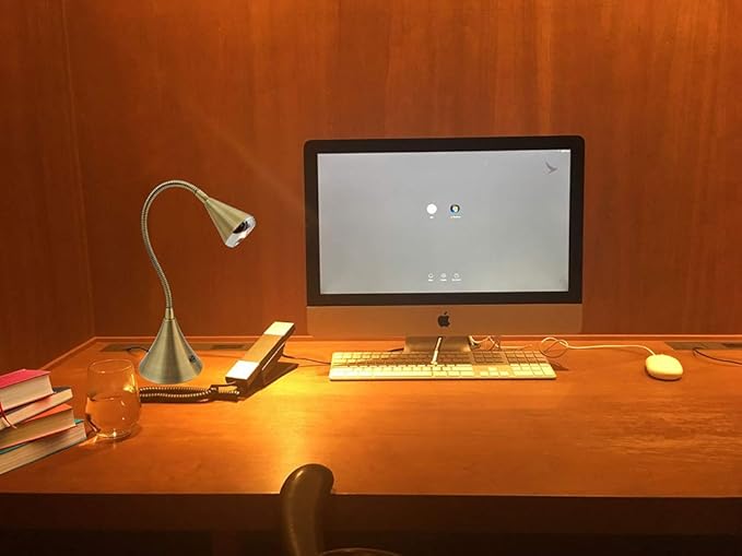 HomeFocus Table Lamp,Desk Lamp,Dimmable Night Light,LED Reading Lamp,Bedside Table Lamp,Eye-Caring Reading Light,LED Desk Lamp for Home Office,College Dorm,Reading,Metal,(Gold).