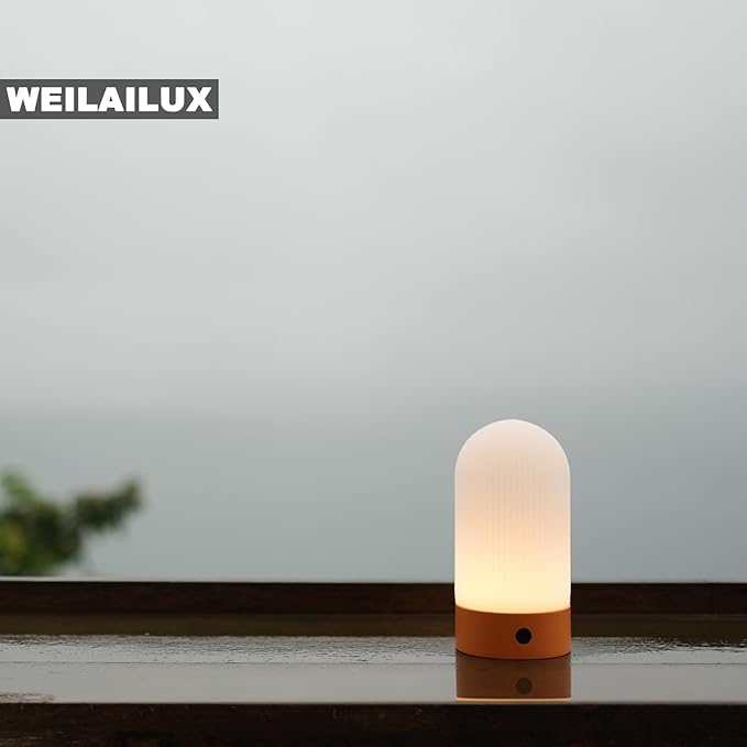 Battery Operated Shower Lamp Waterproof, Small Portable Cordless Table Lamp Rechargeable, Touch Dimmable Mood Light for Home/Patio/Dining/Outdoor (Wood Grain)