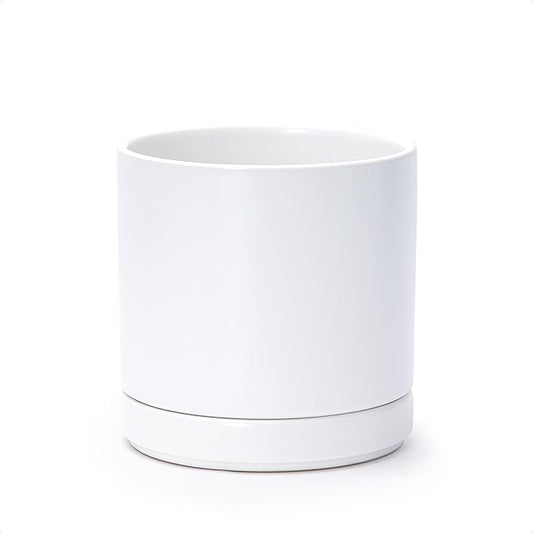 D'vine Dev 6.5 Inch Ceramic Planter Pot with Drainage Hole and Saucer, Indoor Cylinder Round Flower Pot, White, 94-O-C-1