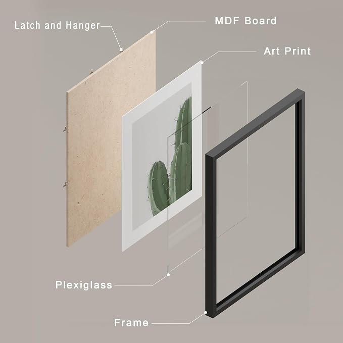 SIGNWIN Framed Green Cactus Snake Plant Wall Art, Set of 4 Collage Desert Landscape Wall Decor Prints, Nature Wilderness Wall Décor for Living Room, Bedroom - 12"x16" Black