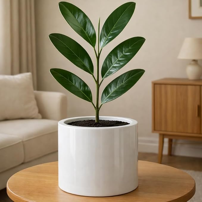 Fox & Fern Large Indoor Planter, Modern Large Plant Pot for Indoor or Outdoor, UV and Frost Resistant - 8 Inch, Fiberstone, Glossy White Flower Pot with Drainage Plug, Lightweight