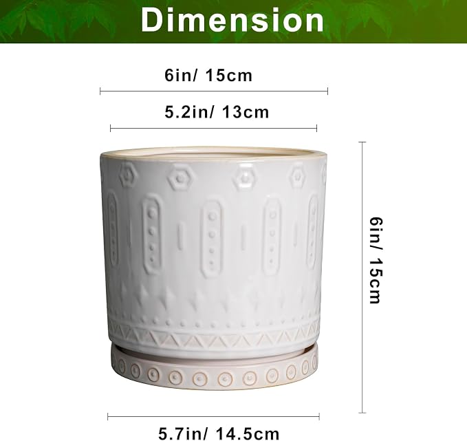 Eightpot Pot for Plants 6 Inch - Ceramic Planter for Indoor Plants Decorative Plant Pot with Drainage Holes and Saucer Outdoor Flower Pot Modern Succulent Pots for Office Desk Decor White