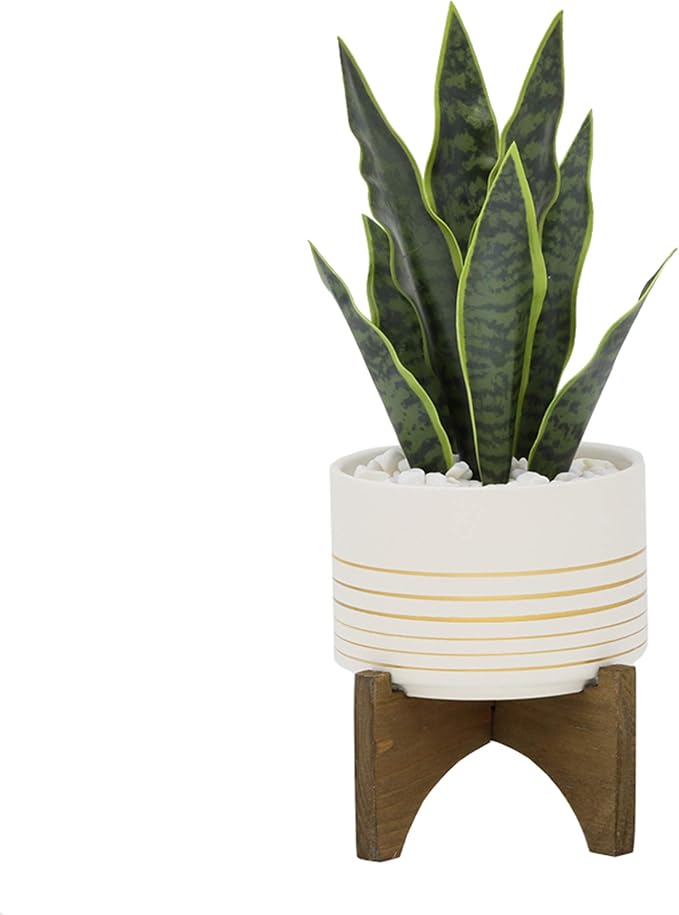 Flora Bunda Mid Century Ceramic Planter on Wood Stand 4.75 inch White with Gold Line for Succulent Desktop Indoor Use 5.5 x 5.5 x 5.75