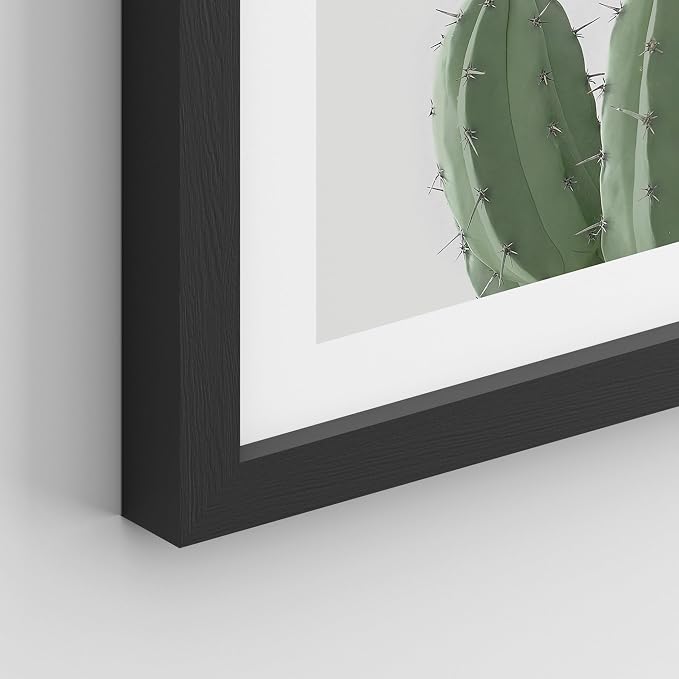 SIGNWIN Framed Green Cactus Snake Plant Wall Art, Set of 4 Collage Desert Landscape Wall Decor Prints, Nature Wilderness Wall Décor for Living Room, Bedroom - 12"x16" Black