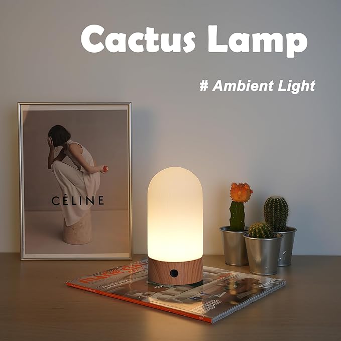 Battery Operated Shower Lamp Waterproof, Small Portable Cordless Table Lamp Rechargeable, Touch Dimmable Mood Light for Home/Patio/Dining/Outdoor (Wood Grain)