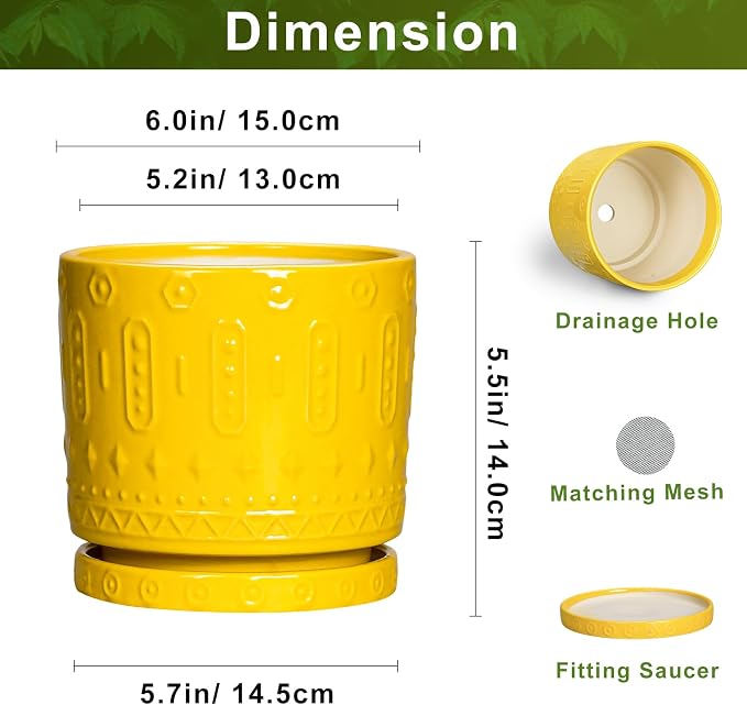 Eightpot 6 Inch Pots for Plants, Ceramic Pots for Plants with Drainage Holes and Tray, Round Planter for Indoor Outdoor, Modern Plant Pot, Decorative Flower Pot, Table Decor, Teacher Gift, Yellow