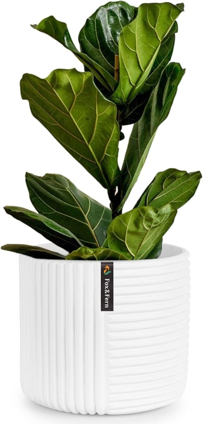 Fox & Fern Large Indoor Planter, Modern Large Plant Pot for Indoor or Outdoor, UV and Frost Resistant - 12 inch, Polystone, Matte White Flower Pot with Drainage Plug, 3D Printed Design