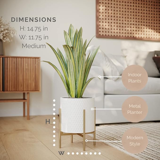 EverNest Claire Mid-Century Modern White Planter and Stand, Indoor Plant Pot, SelectBase, Minimalist Aesthetic, Home Decor for Plants - (Gold Base, Medium)