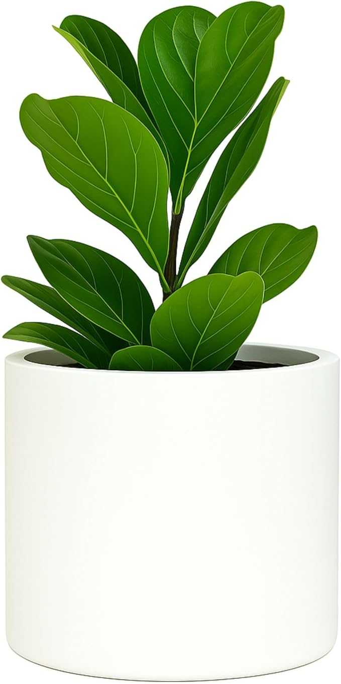 Fox & Fern Large Indoor Planter, Modern Large Plant Pot for Indoor or Outdoor, UV and Frost Resistant - 8 Inch, Fiberstone, Matte White Flower Pot with Drainage Plug, Lightweight