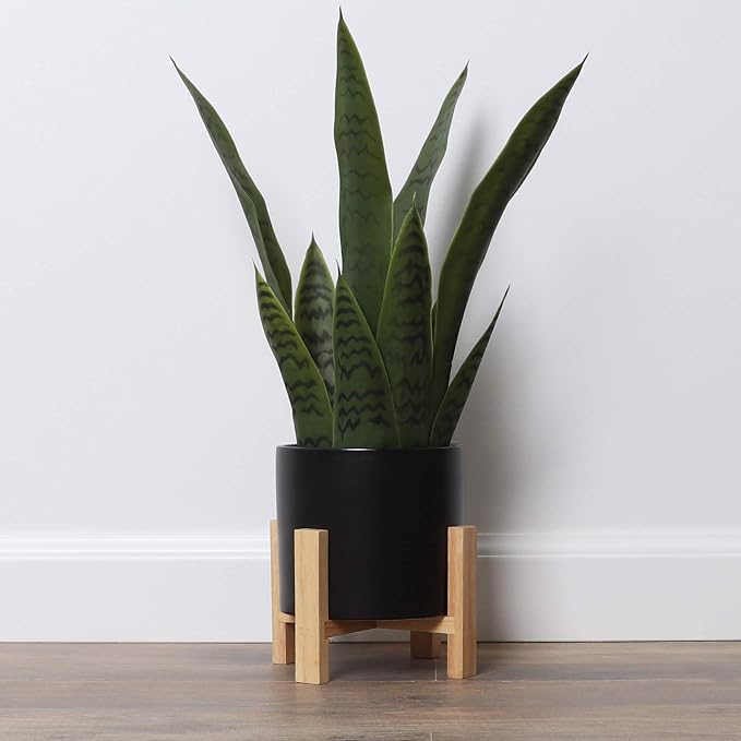 Bornbridge Artificial Snake Plant with Mid Century Plant Stand - Sansevieria Plant in Modern Planter - Artificial Plants with Indoor Plant Stand - Faux House Plants (Medium / 1 Pack)