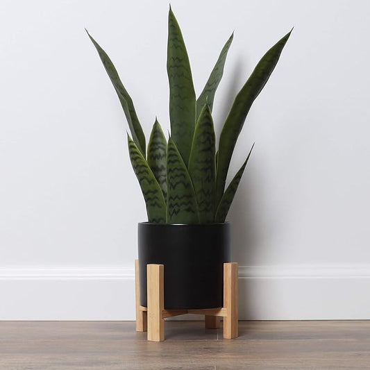 Bornbridge Artificial Snake Plant with Mid Century Plant Stand - Sansevieria Plant in Modern Planter - Artificial Plants with Indoor Plant Stand - Faux House Plants (Medium / 1 Pack)