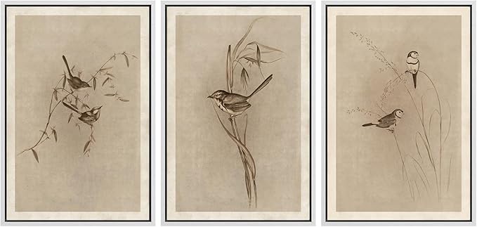 MUDECOR Framed Wall Art Print Set Vintage Bird Wheat Ear Illustrations Modern Art Boho Decorative Colorful Chic for Living Room, Bedroom, Office - 16"x24"x3 White