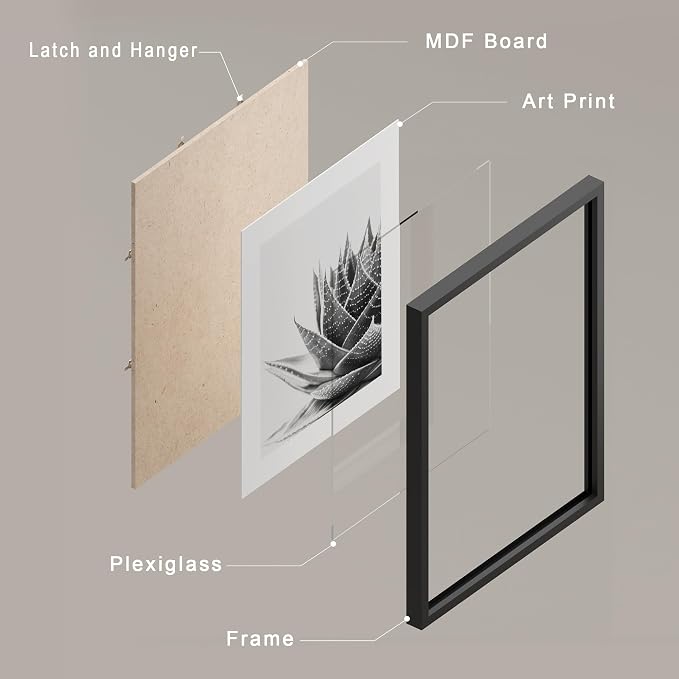 SIGNWIN Framed Black White Snake Plant Agave Cactus Succulent Wall Art, Set of 4 Floral Botanical Wall Decor Prints, Nature Wilderness Wall Décor for Living Room, Bedroom - 12"x16" Black