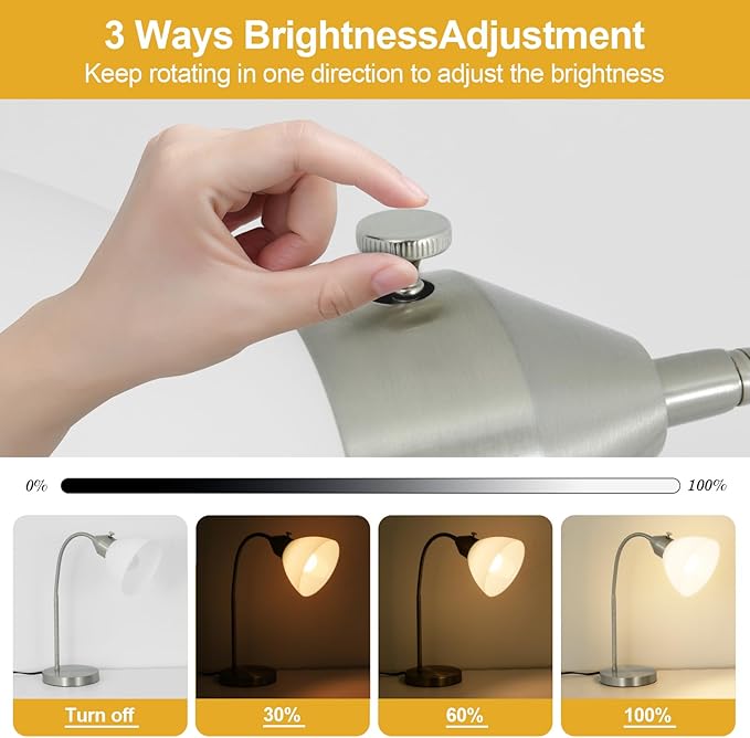 RISLG LED Desk Lamp for Home Office, 3 Levels Dimmable Reading Light, Flexible Table Lamp for Bedside Office, Rotary Switch Control, Desk Lamp for College Dorm Study Lamp, Bulb Included, Sliver