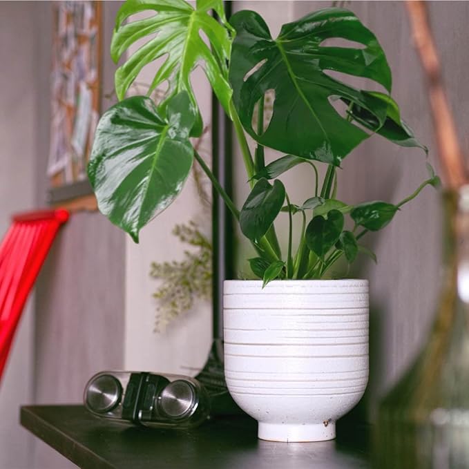 Modern Ceramic Pottery Planter for Indoor Plants, White Minimalist Indoor Planter with Drainage, Contemporary Decorative Pot for Living Room, Office & Shelf Styling
