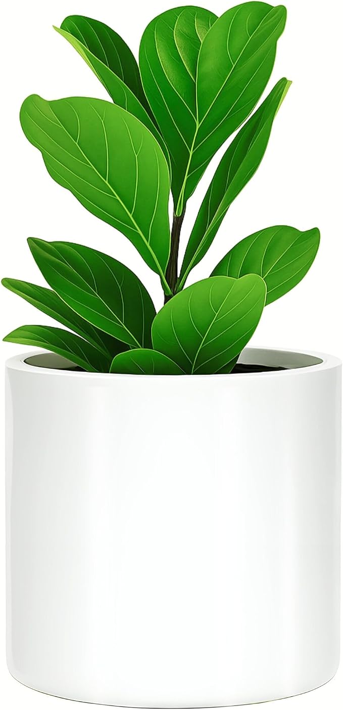 Fox & Fern Large Indoor Planter, Modern Large Plant Pot for Indoor or Outdoor, UV and Frost Resistant - 10 Inch, Fiberstone, Glossy White Flower Pot with Drainage Plug, Lightweight