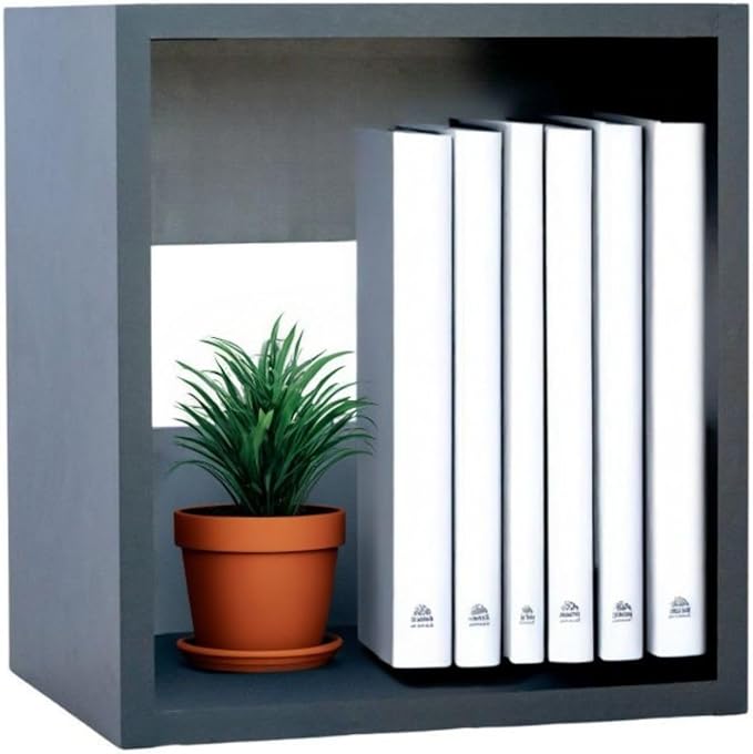 Custom Sized 1-Cube Cubby; Choose color, width, depth, and height. Units are 3/4 inch thick premium grade melamine for strong, solid unit. Easy assembly. Place on the floor or mount on a wall.