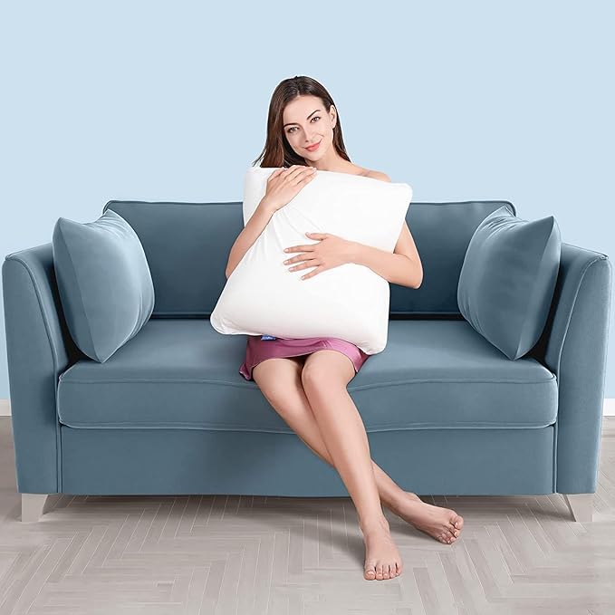 AM AEROMAX 22 ×22 Pillow Insert (Pack of 2) Memory Foam Throw Pillow Insert Sham Square for Decorative Cushion Bed Couch Sofa Without Deform After Longtime Use