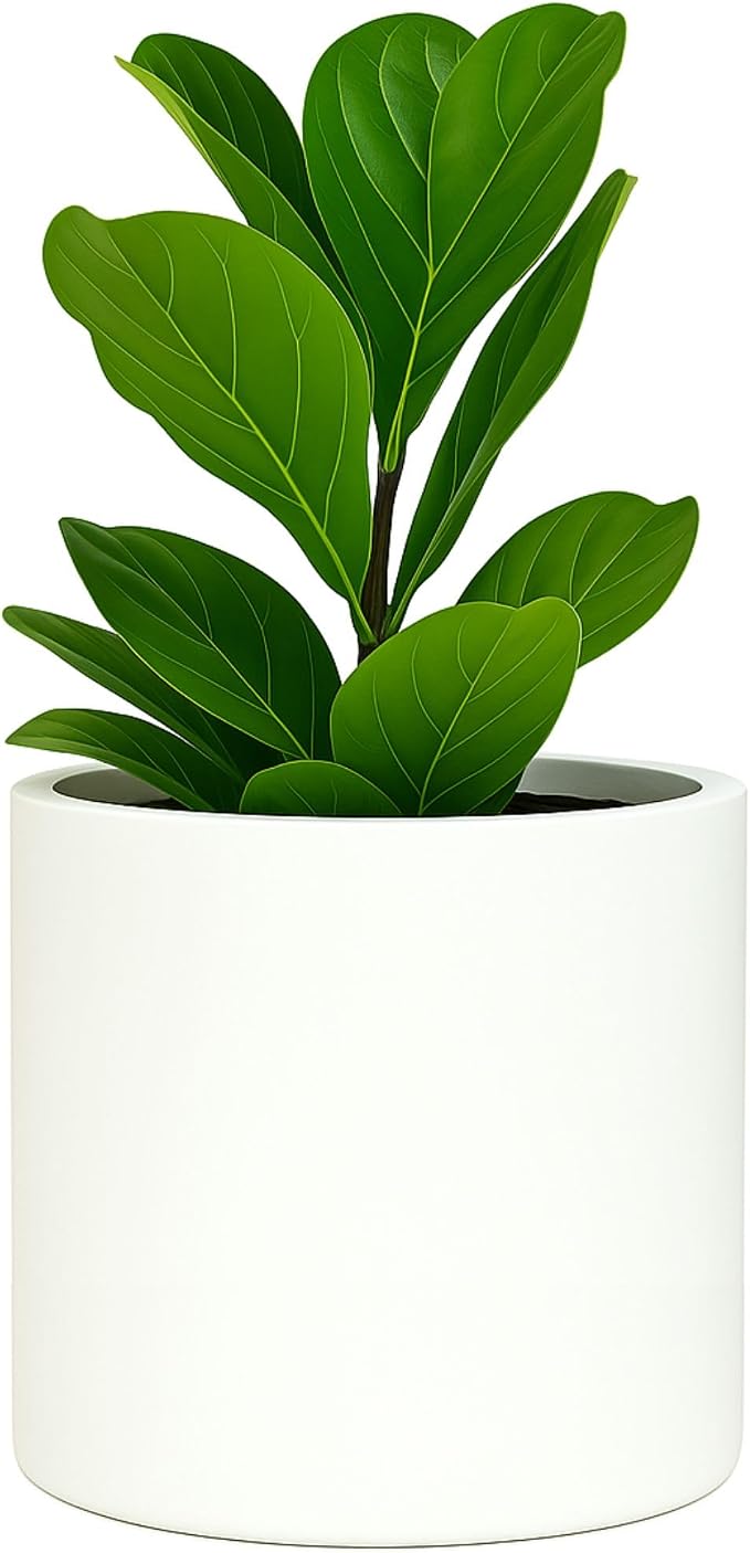 Fox & Fern Large Indoor Planter, Modern Large Plant Pot for Indoor or Outdoor, UV and Frost Resistant - 12 Inch, Fiberstone, Matte White Flower Pot with Hidden Saucer, Lightweight