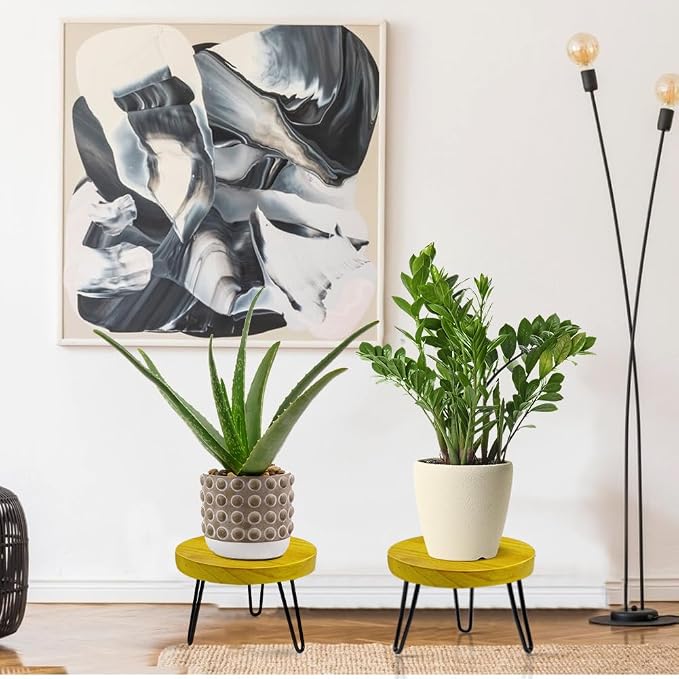 OBTAIN Plant Stand Indoor Outdoor Wood Mid Century Plant Stand for Indoor Plants, Modern Plant Table Round Plant Stool, Boho Rustic Wooden Stool for Plant Pot Hol (L)