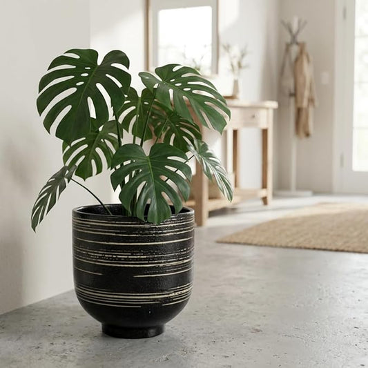 Large Black Ceramic Planter for Indoor Trees, Modern Indoor Floor Planter Pot for Olive Trees & Faux Olive Trees, Pottery Planter with Drainage for Real Plants