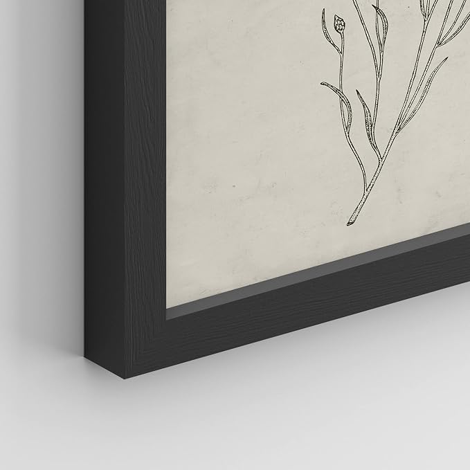 SIGNWIN Framed Vintage Wildflower Wall Art, Set of 4 Plant Collage Drawing Wall Decor Prints, Nature Wilderness Wall Décor for Living Room, Bedroom - 11"x14" Black
