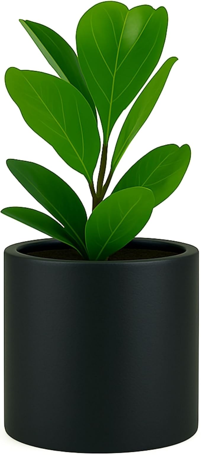 Fox & Fern Large Indoor Planter, Modern Large Plant Pot for Indoor or Outdoor, UV and Frost Resistant - 10 Inch, Fiberstone, Matte Black Flower Pot with Drainage Plug, Lightweight
