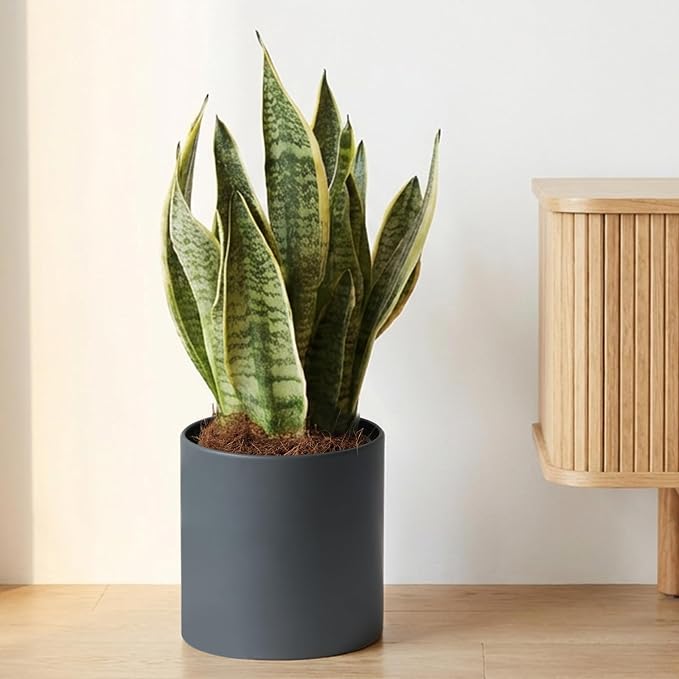 Metal Plant Pot with Drainage Hole,Mid Century Modern 7 inch Round Small Pot Indoor Outdoor Planters Gift for Decorative Pots of Tabletop Living Room Bedroom Grey