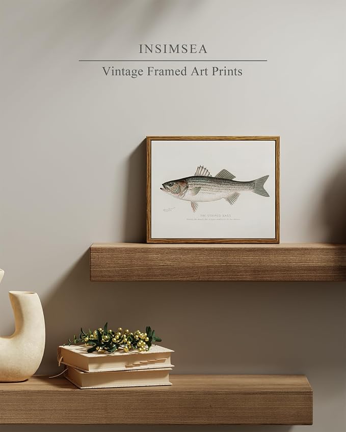 InSimSea Vintage Framed Wall Art for Living Room, Striped bass Canvas Decor, Minimalism Artwork Prints, Animals Oil Painting Wall Decor Gallery Picture, for Bathroom Bedroom Kitchen 10L x 8W