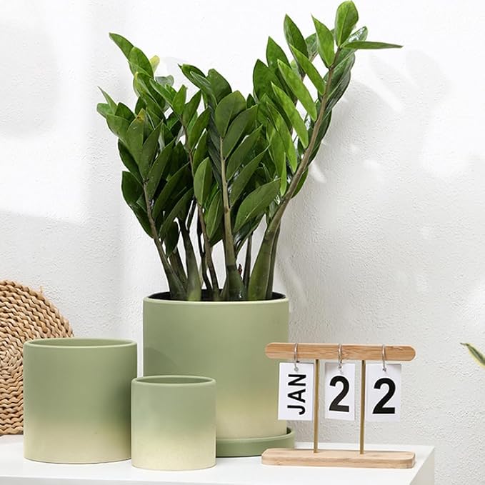 Water-Absorbent and Breathable Ceramic Planters, 9 Inch Straight Tube Pots for Plants, Indoor Plant Pots with Drainage Holes and Saucers, Modern Planters Fit Mid Century Plant Stand